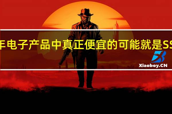 今年电子产品中真正便宜的可能就是SSD硬盘了