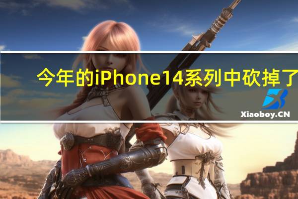今年的iPhone14系列中砍掉了5.4寸mini小屏机