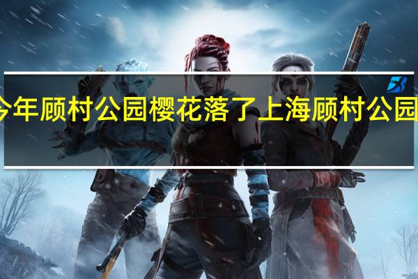 今年顾村公园樱花落了 上海顾村公园樱花节