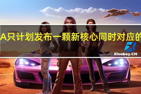 今年NVIDIA只计划发布一颗新核心同时对应的只有一款新显卡