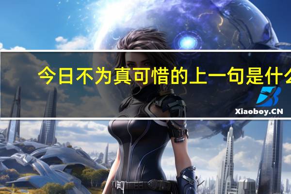 今日不为真可惜的上一句是什么