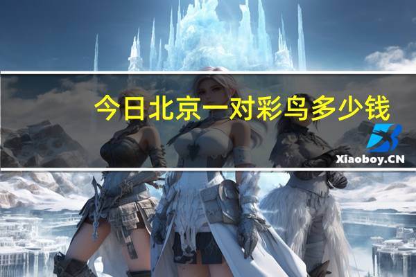 今日北京一对彩鸟多少钱？