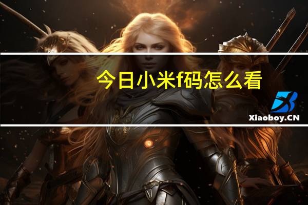 今日小米f码怎么看（小米f码怎么获得）