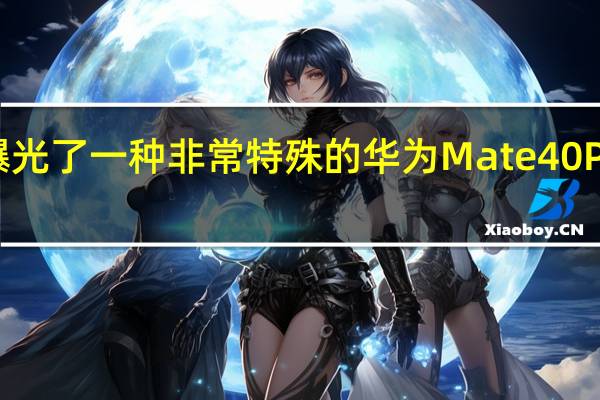 今日有网友曝光了一种非常特殊的华为Mate40Pro防爆定制版机型