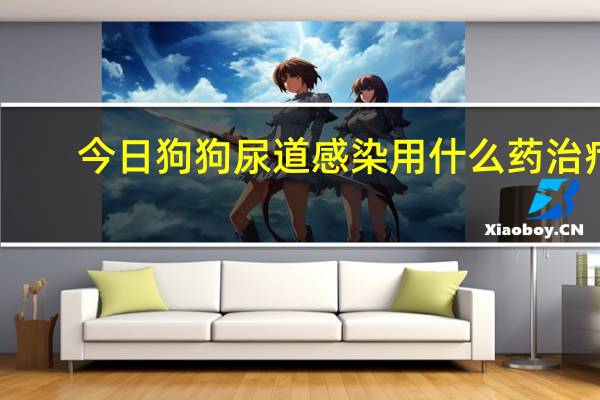 今日狗狗尿道感染用什么药治疗（尿道感染要吃什么药才能快速治好）