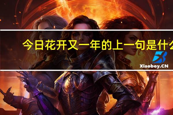 今日花开又一年的上一句是什么