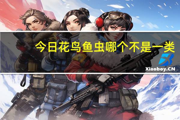 今日花鸟鱼虫哪个不是一类（鸟虫鱼马是同一类吗）