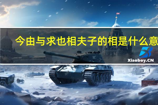 今由与求也相夫子的相是什么意思