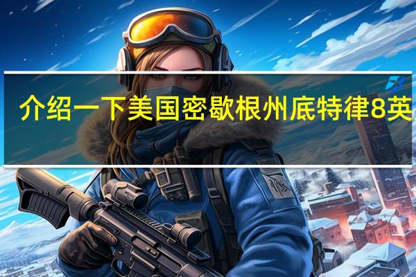介绍一下美国密歇根州底特律8英里街。8英里街附近有哪些大学，底特律有哪些大学，以及在全美的排名