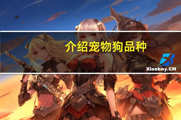 介绍宠物狗品种