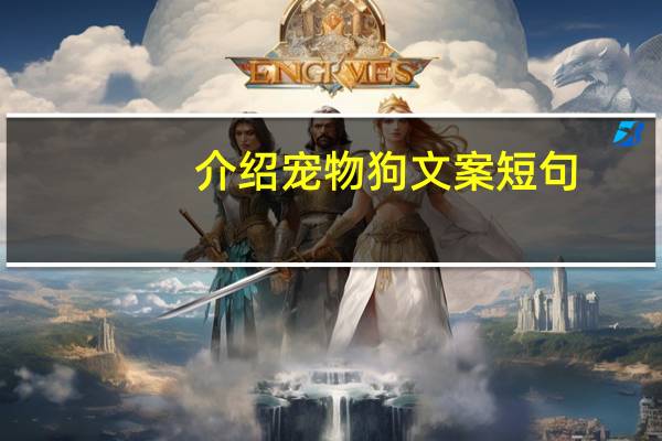 介绍宠物狗文案短句