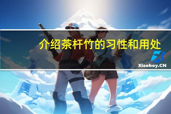 介绍茶杆竹的习性和用处