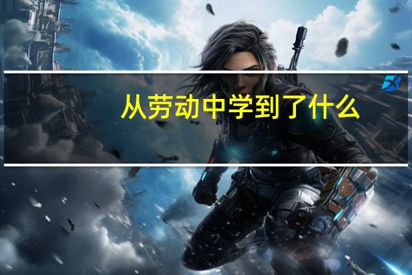 从劳动中学到了什么