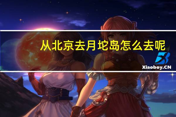 从北京去月坨岛怎么去呢
