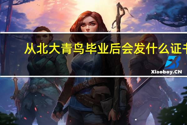 从北大青鸟毕业后会发什么证书
