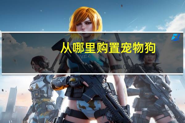 从哪里购置宠物狗