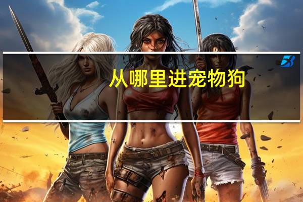 从哪里进宠物狗