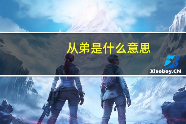 从弟是什么意思（从弟是什么意思）