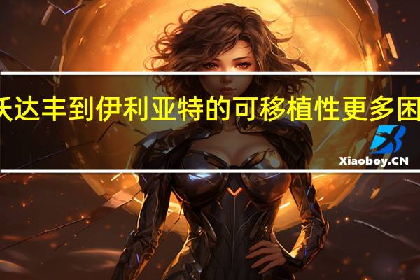 从沃达丰到伊利亚特的可移植性更多困惑和延迟