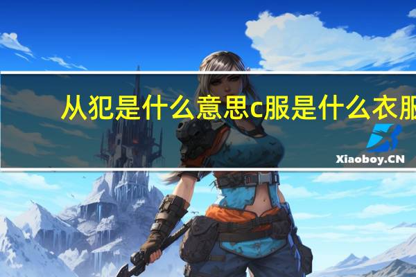 从犯是什么意思 c服是什么衣服