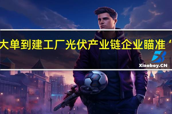 从签大单到建工厂 光伏产业链企业瞄准“中东机遇”
