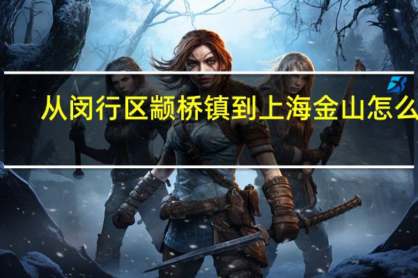 从闵行区颛桥镇到上海金山怎么走