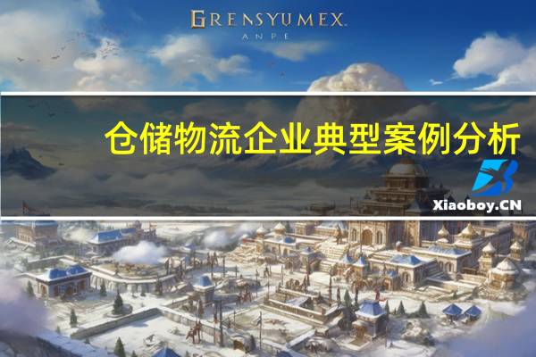 仓储物流企业典型案例分析