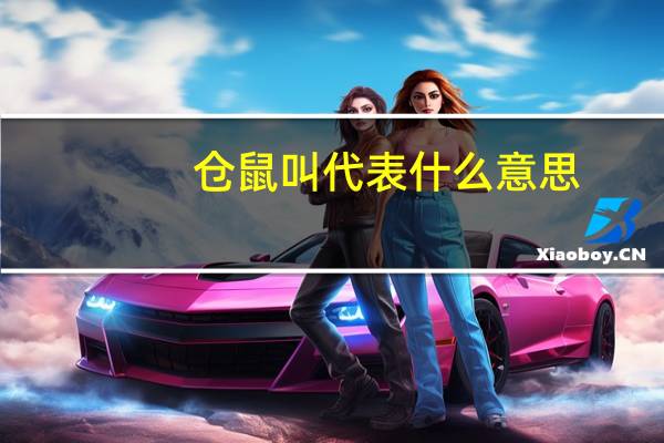 仓鼠叫代表什么意思