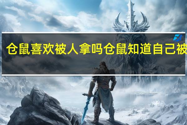 仓鼠喜欢被人拿吗 仓鼠知道自己被养吗