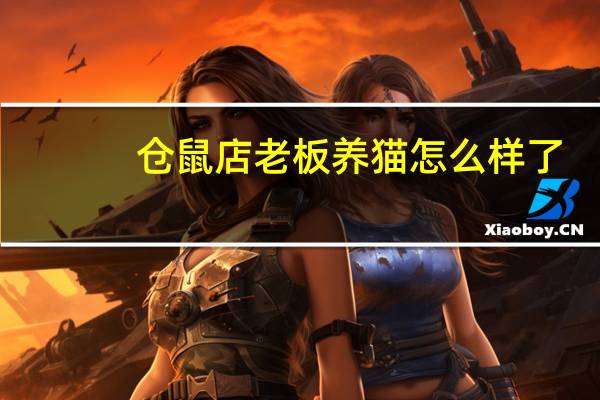 仓鼠店老板养猫怎么样了