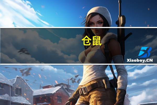 仓鼠(关于仓鼠的介绍)