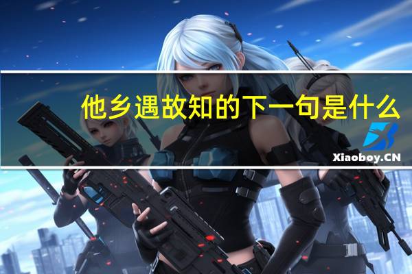 他乡遇故知的下一句是什么