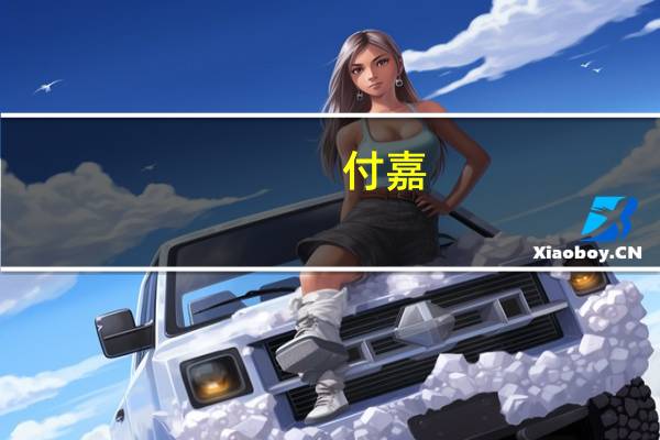 付嘉
