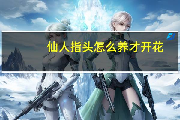 仙人指头怎么养才开花