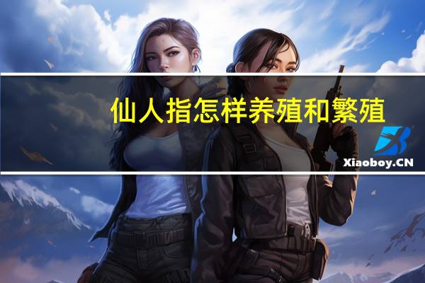 仙人指怎样养殖和繁殖
