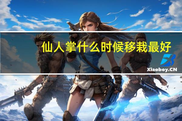 仙人掌什么时候移栽最好