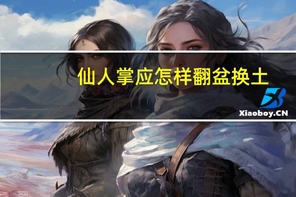 仙人掌应怎样翻盆换土