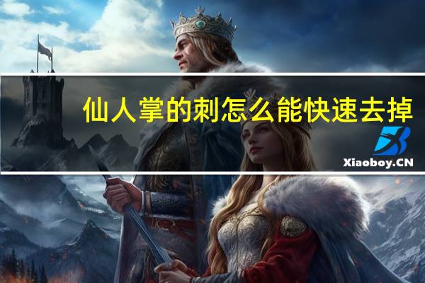仙人掌的刺怎么能快速去掉