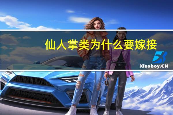 仙人掌类为什么要嫁接