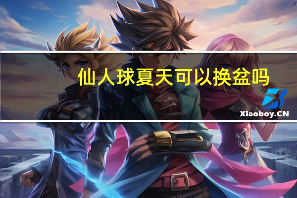 仙人球夏天可以换盆吗