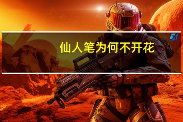 仙人笔为何不开花