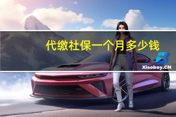 代缴社保一个月多少钱