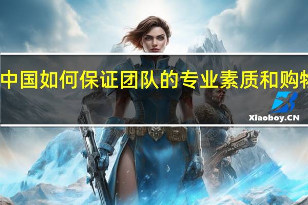 代购中国如何保证团队的专业素质和购物服务安全