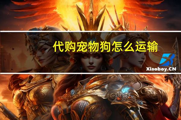 代购宠物狗怎么运输