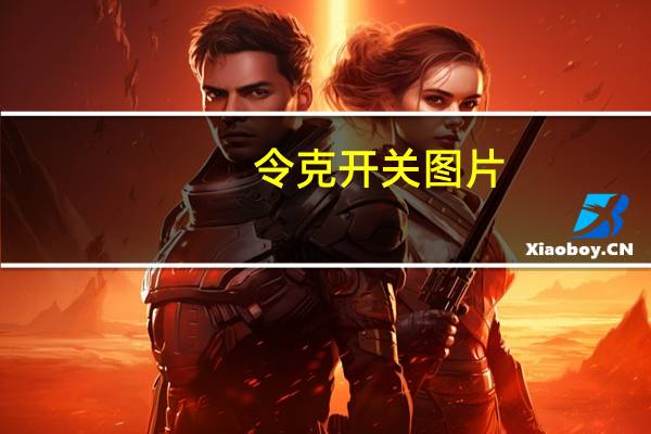 令克开关图片（令克软件-杭州有限公司简介）