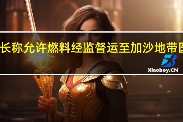 以军参谋长称允许燃料经监督运至加沙地带医院 以色列总理:并没有