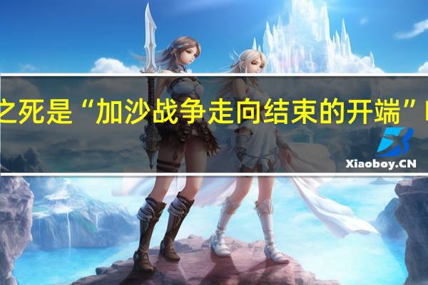 以总理称辛瓦尔之死是“加沙战争走向结束的开端” 哈马斯放下武器可停战