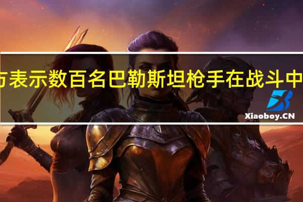 以色列軍方表示數(shù)百名巴勒斯坦槍手在戰(zhàn)斗中喪生數(shù)十人被俘 (路透)