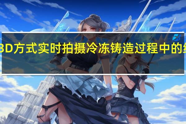 以3D方式实时拍摄冷冻铸造过程中的结构形成