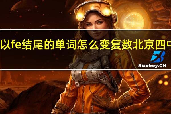 以fe结尾的单词怎么变复数 北京四中网校